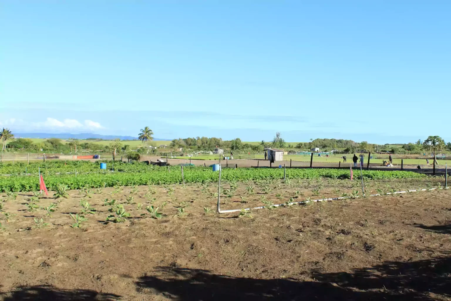 plantations-east-coast-mauritius