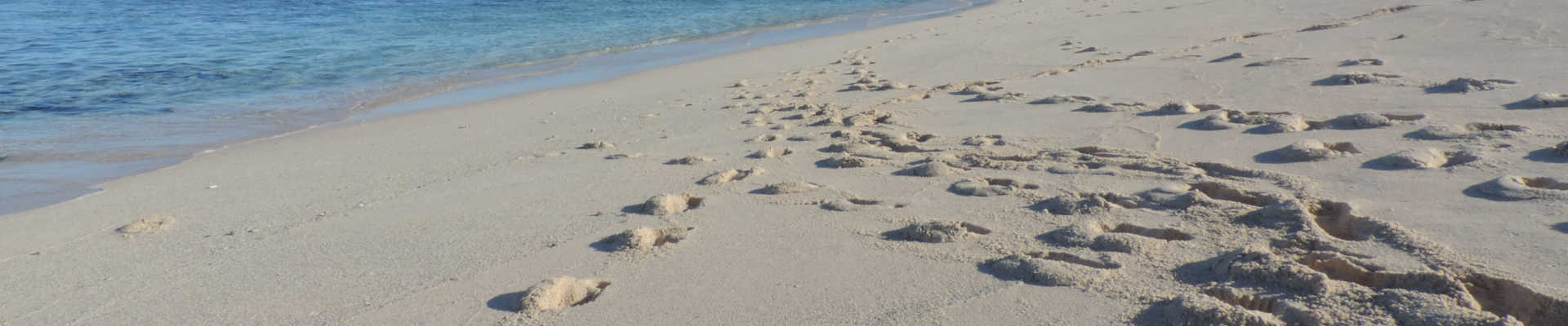Privacy Policy Bookmauriitus Villas - Villa rentals in Mauritius