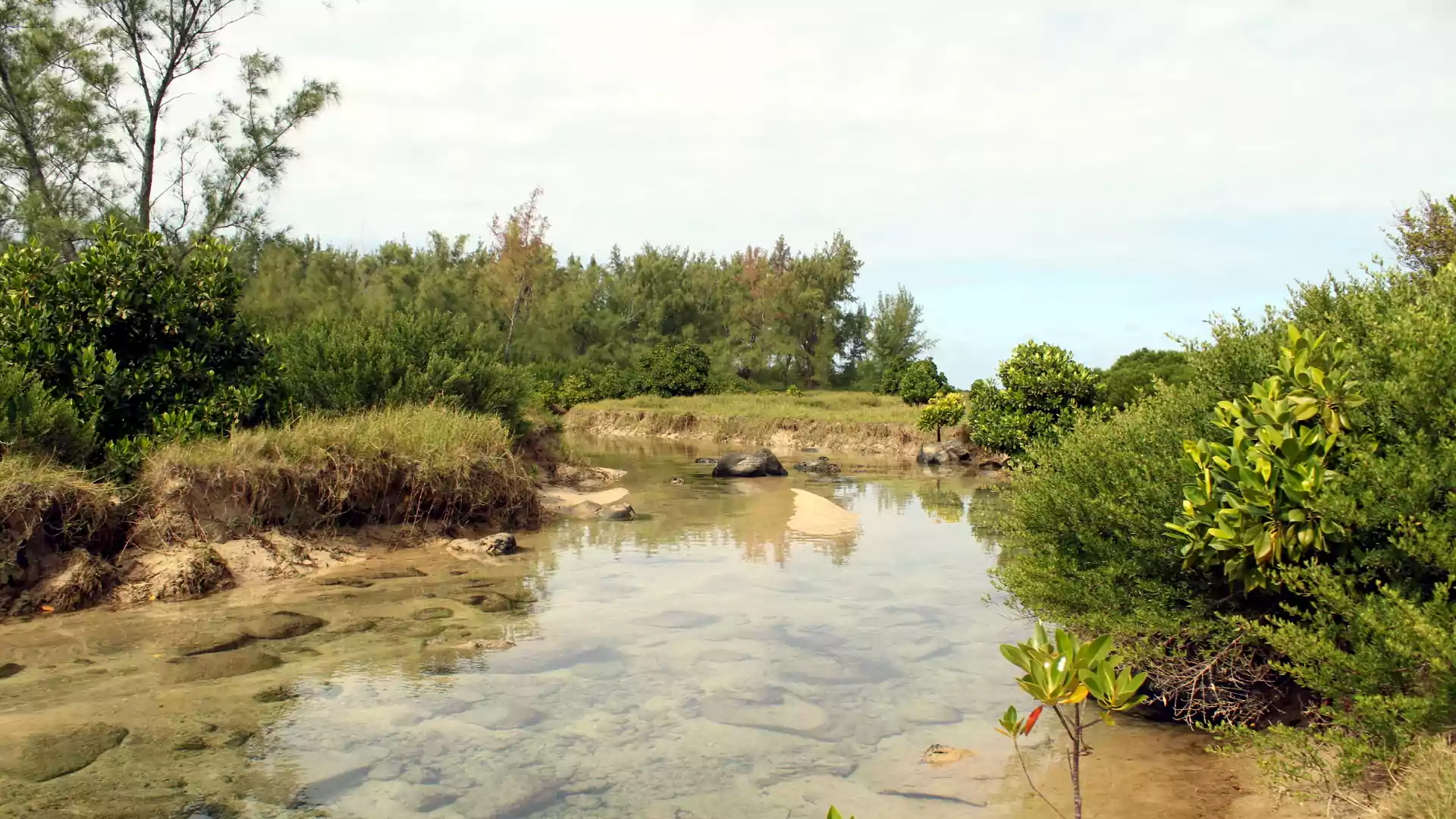 ponds-south-mauritius