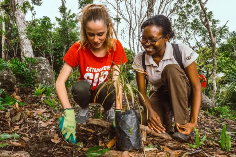 ebony-forest-mauritius-large