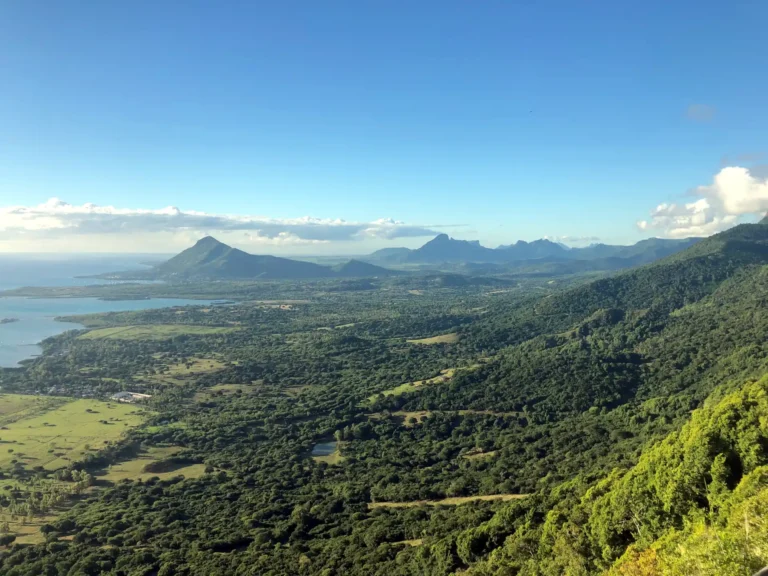ebony-forest-mauritius-view