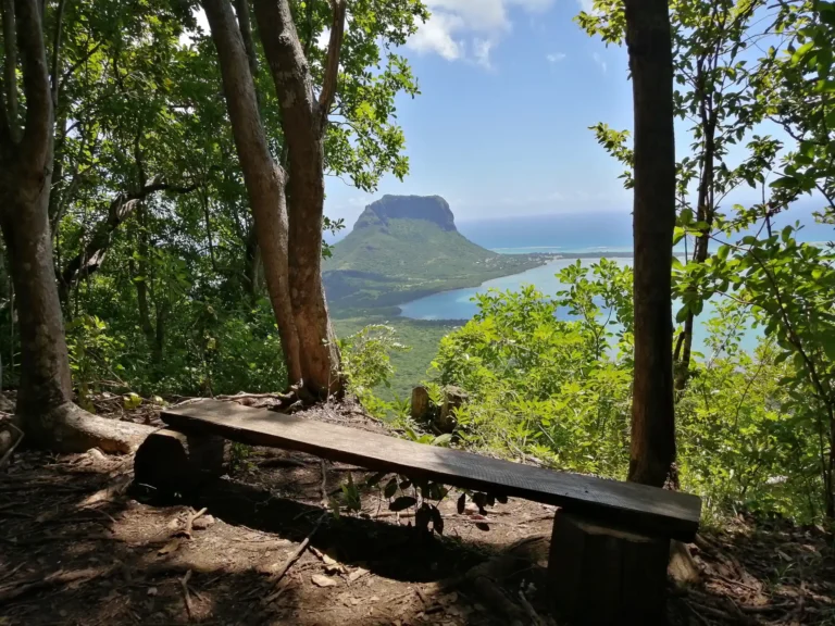 ebony-forest-mauritius-view-morne