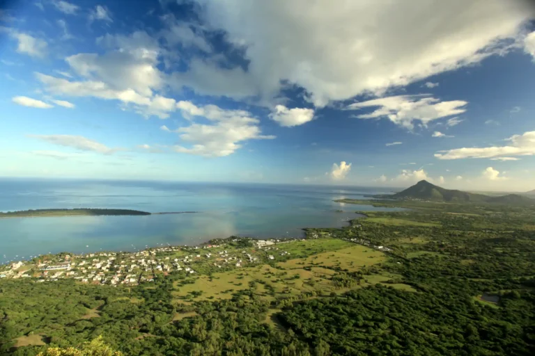 ebony-forest-mauritius-views