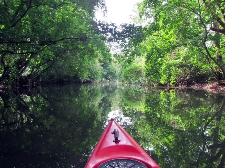 kayaking-river-mauritius