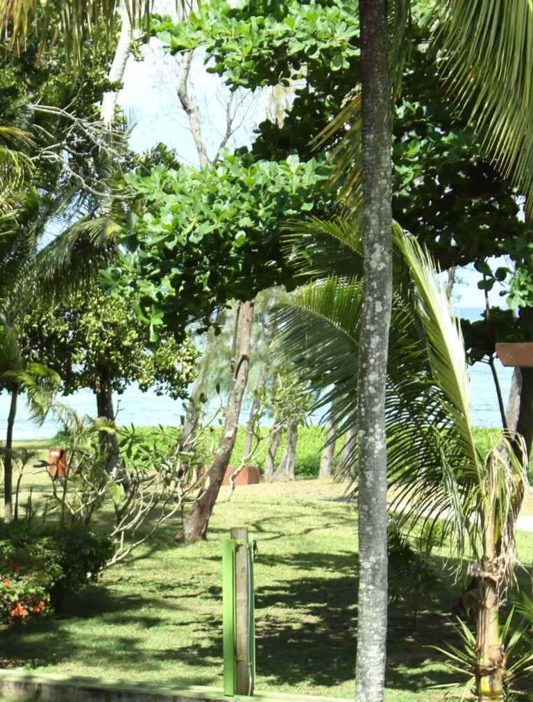 view-villa-riambelle-mauritius