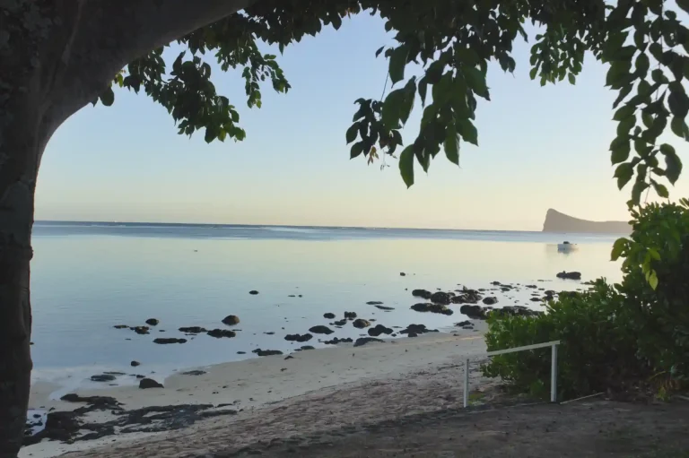 morning-garden-bungalow-aviam-mauritius