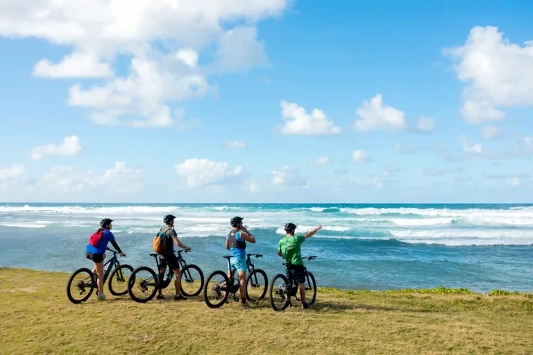 yanature-e-biking-mauritius-39
