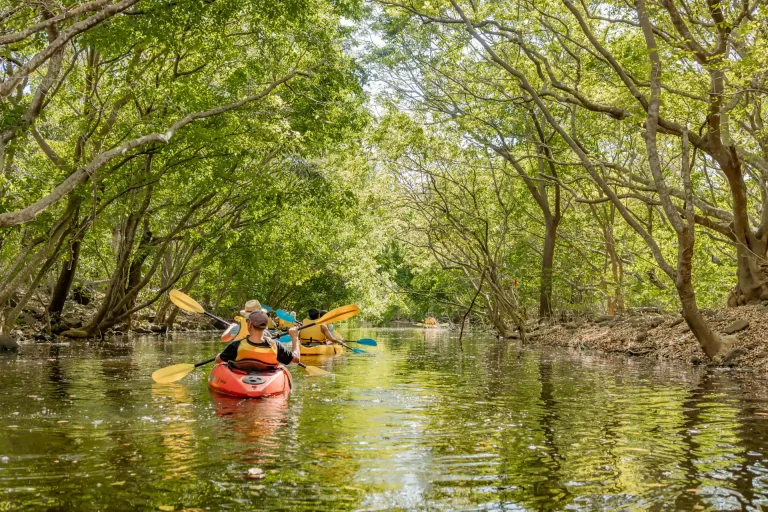 yanature-kayaking-mauritius-36